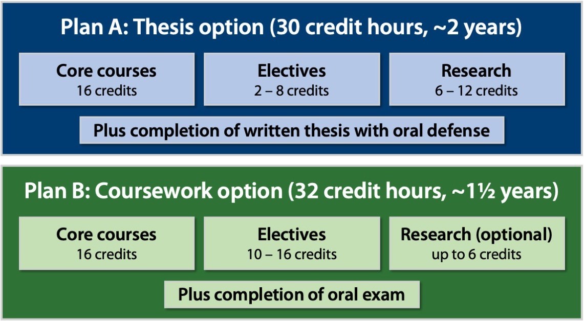 Thesis Options